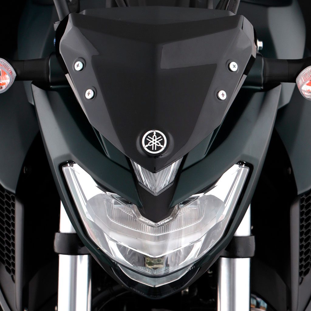 FZ25 carrusel (6)